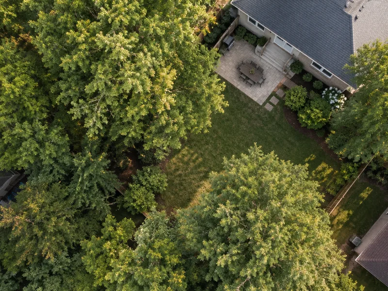 Illustrative drone video service